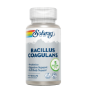 Bacillus Coagulans 60 VegCaps - Solaray Bacillus Coagulans 60 VegCaps - Solaray