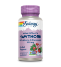 Hawthorn Extract 100mg 60 VegCaps - Solaray Hawthorn Extract 100mg 60 VegCaps - Solaray