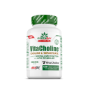Vitacholine Provegan Bitartrato de Colina 120 Vegecaps - Amix Vitacholine Provegan Bitartrato de Colina 120 Vegecaps - Amix