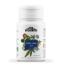Melisa BIO 45 Cápsulas - VitoBest Melisa BIO 45 Cápsulas - VitoBest